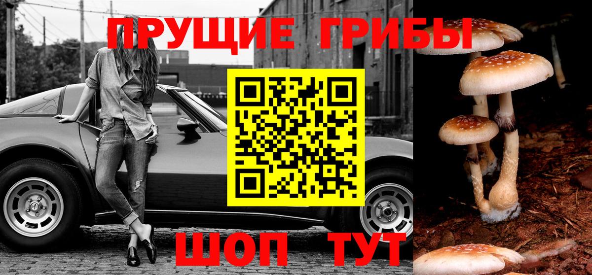 Азнакаево  Псилоцибиновые грибы MAGIC MUSHROOMS  Вход с VPN  Галлюциногенные грибы GOLDEN TEACHER 